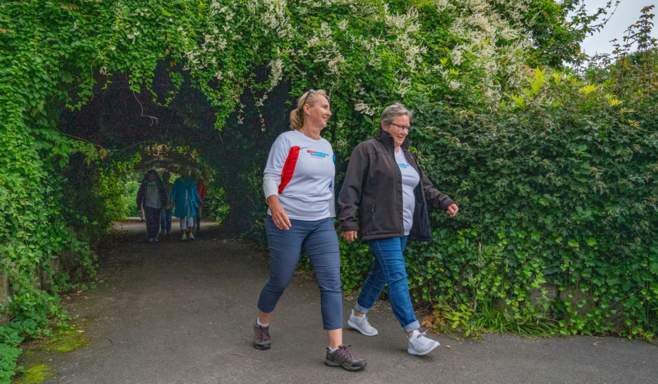 15-07-2019 NED: Nationale Diabetes Challenge, Den Haag
Diverse gezondheidscentra, huisartsenpraktijken en fysiotherapie praktijken zijn met ondersteuning van de BvdGF gestart met een lokale wandel challenge. De grote finale vindt plaats op 29 september in het Zuiderpark Den Haag